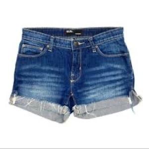 Urban Outfitters BDG Boyfriend Shorts Size 26